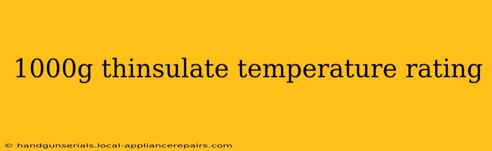 1000g thinsulate temperature rating