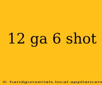 12 ga 6 shot