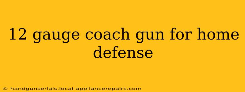 12 gauge coach gun for home defense