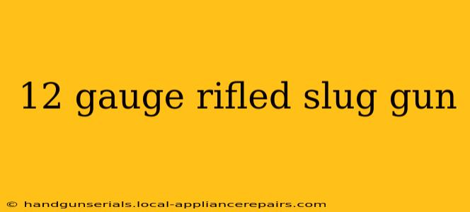 12 gauge rifled slug gun