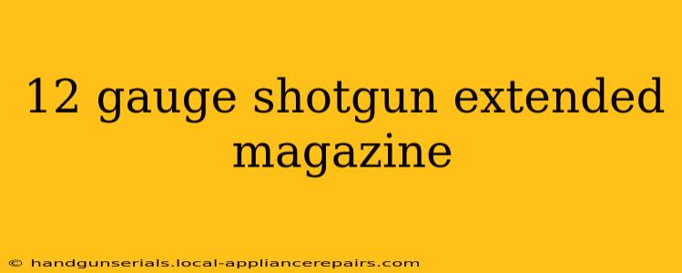 12 gauge shotgun extended magazine