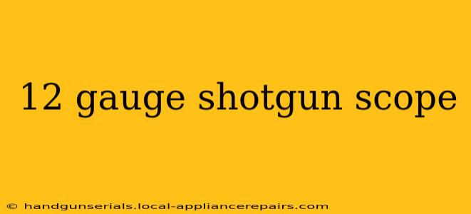 12 gauge shotgun scope