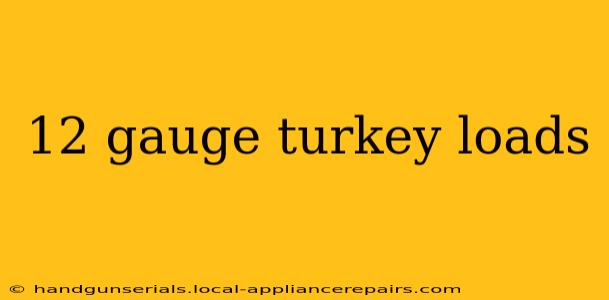 12 gauge turkey loads