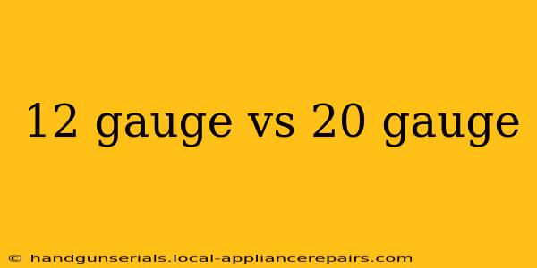 12 gauge vs 20 gauge