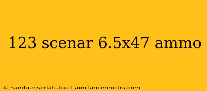 123 scenar 6.5x47 ammo