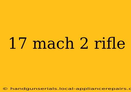 17 mach 2 rifle