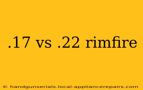 .17 vs .22 rimfire