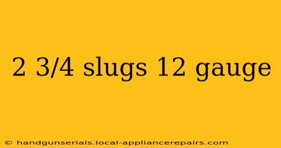 2 3/4 slugs 12 gauge