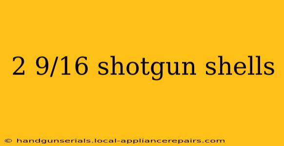 2 9/16 shotgun shells