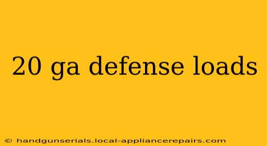 20 ga defense loads