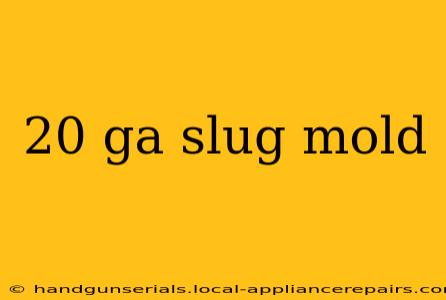 20 ga slug mold