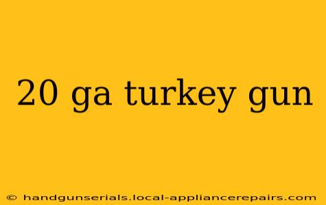 20 ga turkey gun