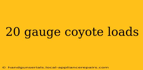 20 gauge coyote loads