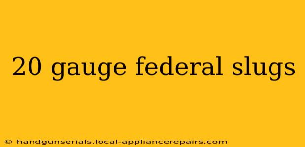 20 gauge federal slugs