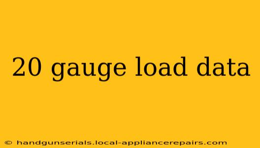 20 gauge load data