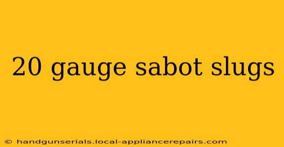 20 gauge sabot slugs