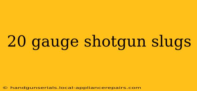 20 gauge shotgun slugs