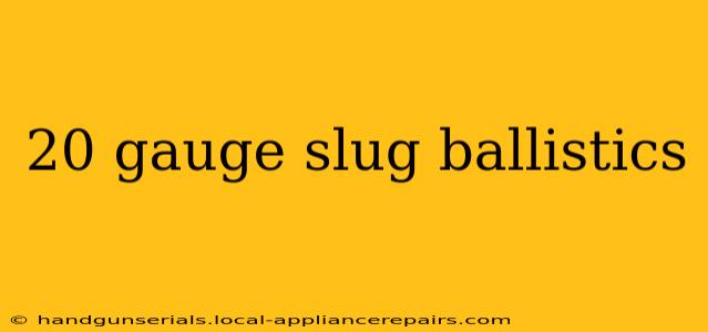 20 gauge slug ballistics