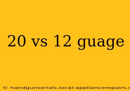 20 vs 12 guage