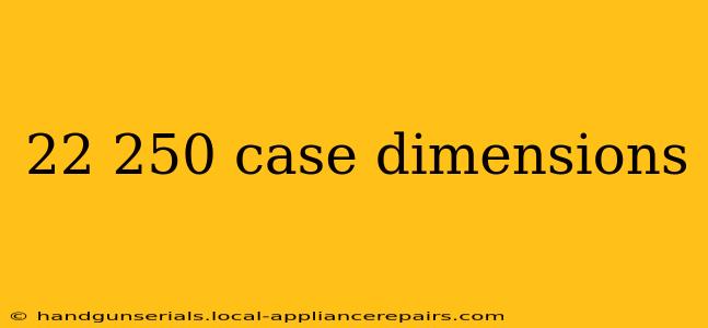 22 250 case dimensions