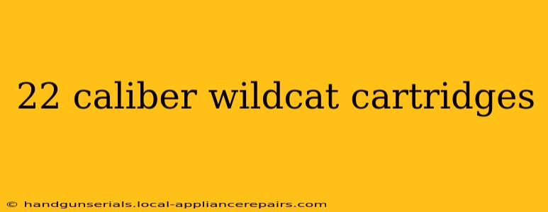 22 caliber wildcat cartridges