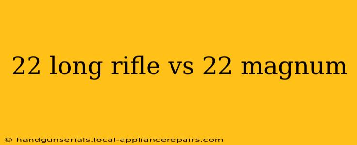 22 long rifle vs 22 magnum