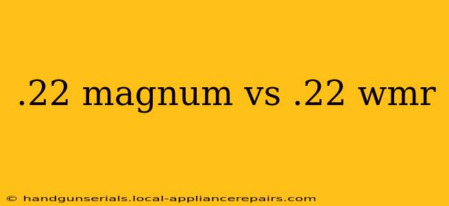 .22 magnum vs .22 wmr