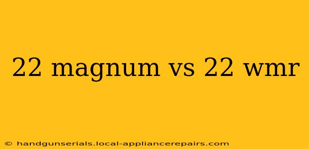 22 magnum vs 22 wmr