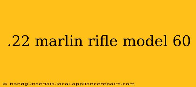 .22 marlin rifle model 60