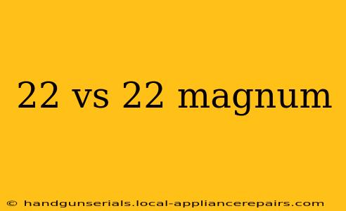 22 vs 22 magnum