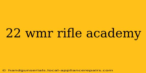 22 wmr rifle academy