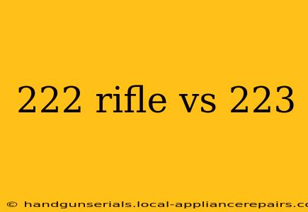 222 rifle vs 223