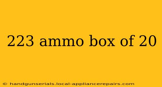 223 ammo box of 20