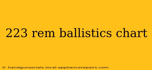 223 rem ballistics chart