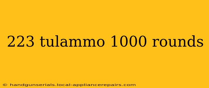 223 tulammo 1000 rounds