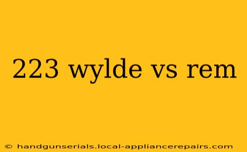 223 wylde vs rem