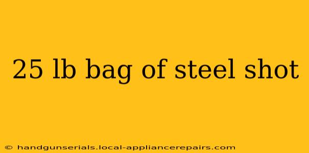 25 lb bag of steel shot