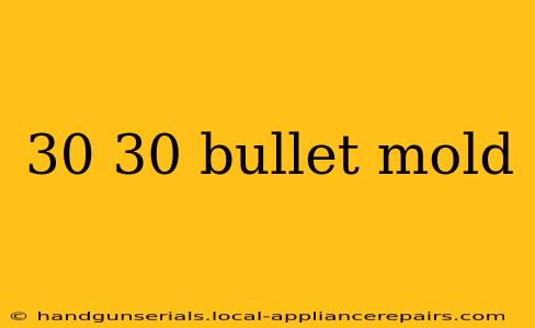 30 30 bullet mold