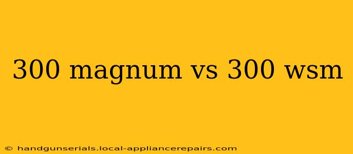 300 magnum vs 300 wsm