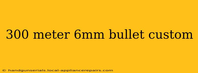 300 meter 6mm bullet custom