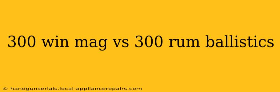 300 win mag vs 300 rum ballistics