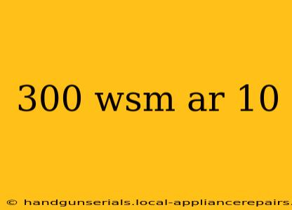 300 wsm ar 10