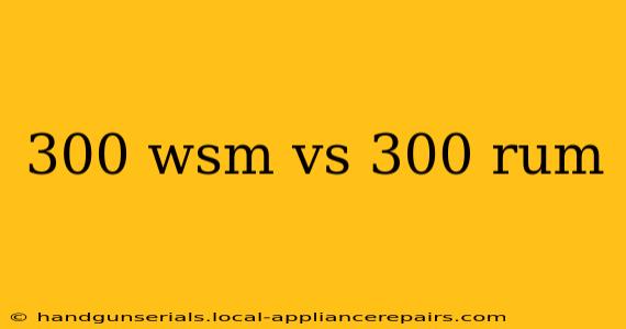 300 wsm vs 300 rum