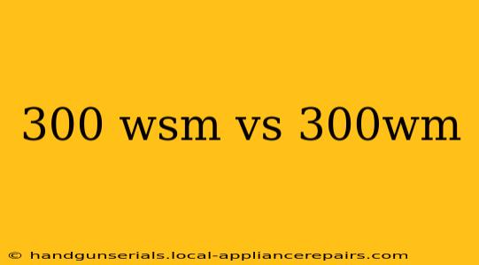 300 wsm vs 300wm