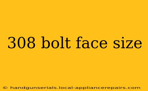 308 bolt face size