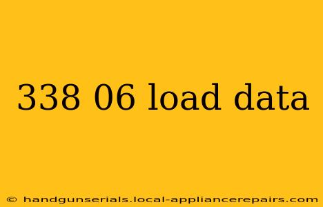 338 06 load data