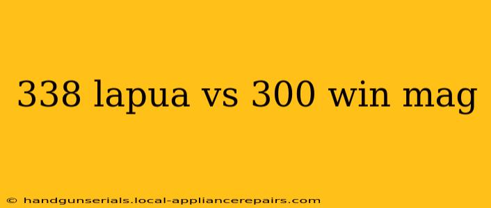 338 lapua vs 300 win mag