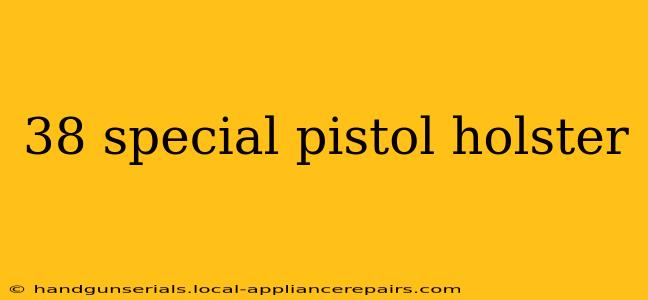 38 special pistol holster