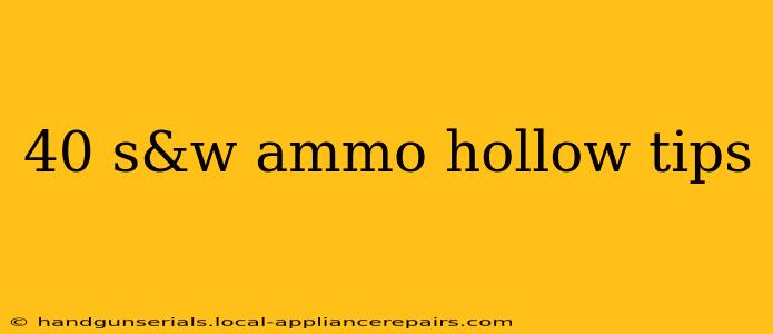 40 s&w ammo hollow tips