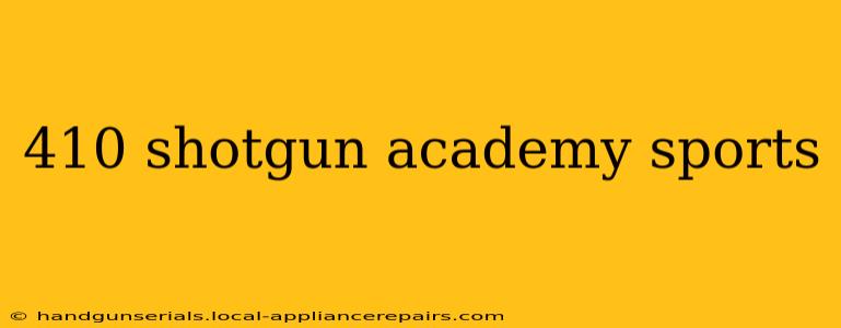 410 shotgun academy sports